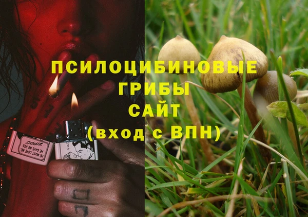амф Арсеньев