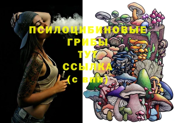 марки nbome Аркадак